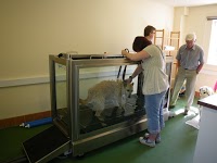The Veterinary Therapy Centre 723252 Image 3